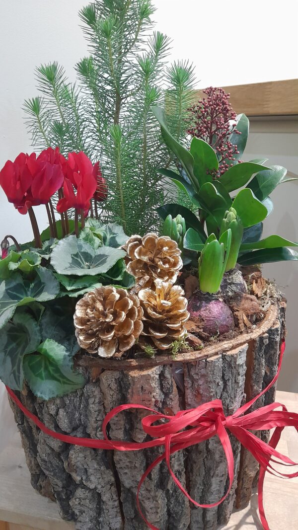 Christmas Planter - Image 2