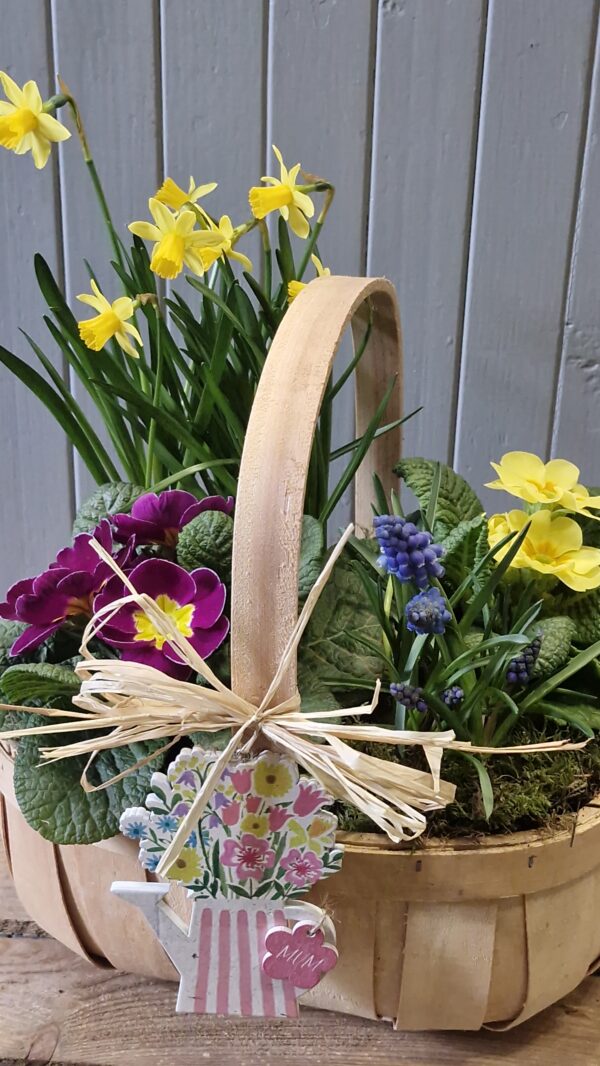 Mother's Day Spring trug